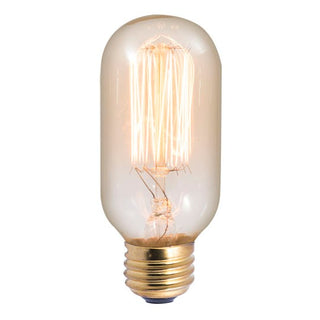 Light Bulb from the Nostalgic Collection in Antique Finish by Bulbrite