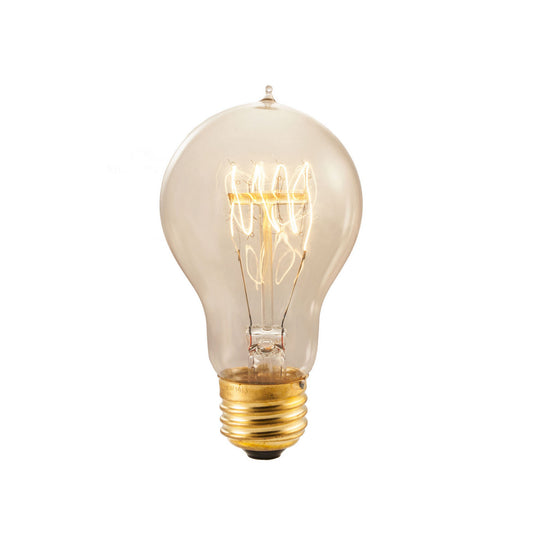 Antique 40 Watt E26 A19 120V Incandescent 2200k Light Bulb by Bulbrite