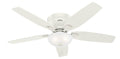Kenbridge Ceiling Fan with Light by Hunter