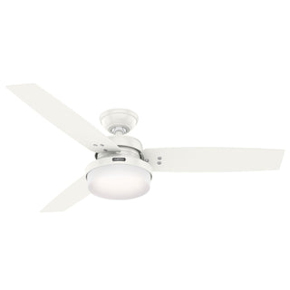 Buy fresh-white-finish-with-fresh-white-and-reversible-bleached-grey-pine-blades Sentinel Ceiling Fan with Light by Hunter