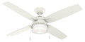 Ocala Outdoor (Damp) Ceiling Fan with Light by Hunter