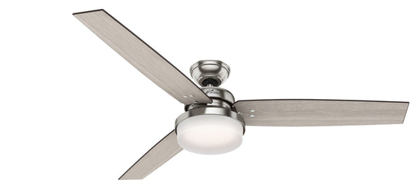 Sentinel Ceiling Fan with Light by Hunter