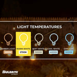 Bulbrite-810006|ALT|7