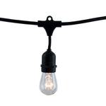 Bulbrite-810006|MAIN