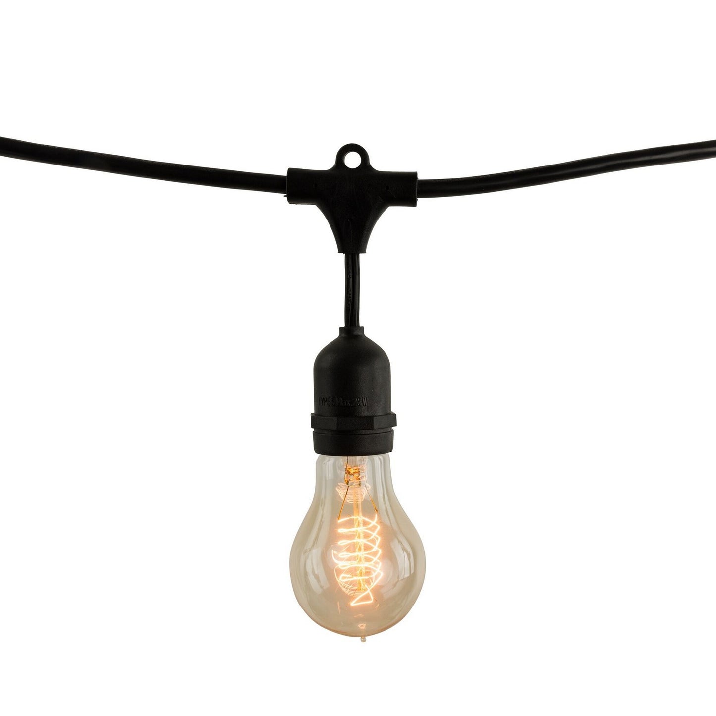 Bulbrite-810004|MAIN