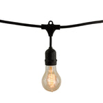 Bulbrite-810004|MAIN
