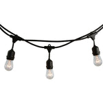 Bulbrite-810002|ALT|1