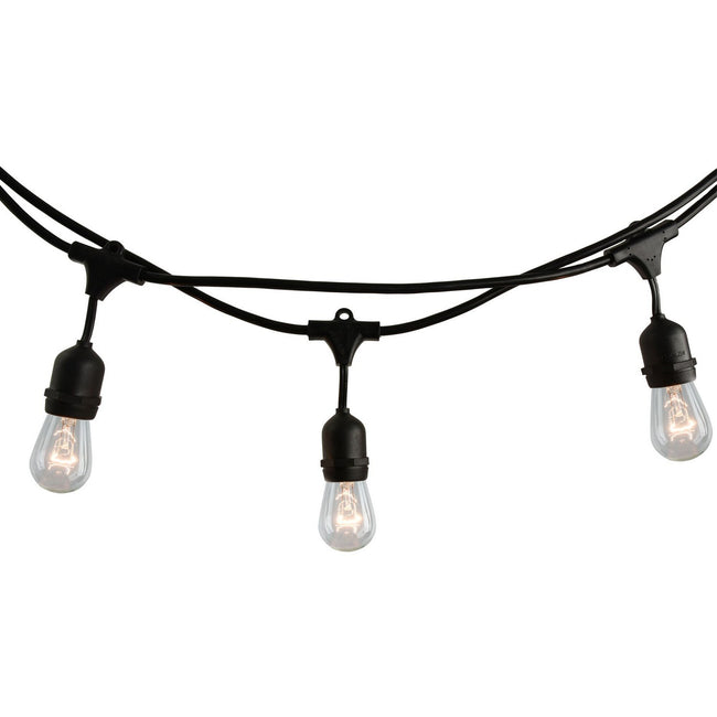 Bulbrite-810002|ALT|1