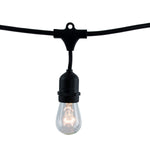 Bulbrite-810002|MAIN