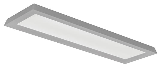 Zurich Outdoor (Damp) Linear Ceiling Light by AFX Lighting
