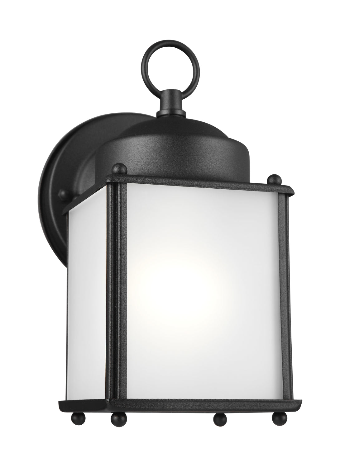 Generation Lighting-8592001-12|MAIN