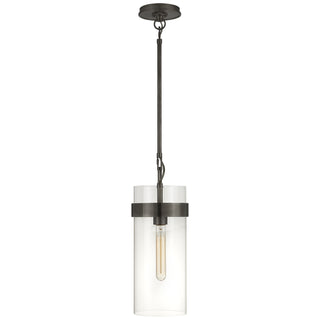 Buy bronze-with-clear-glass-glass Presidio Outdoor (Damp) Pendant by Visual Comfort Signature