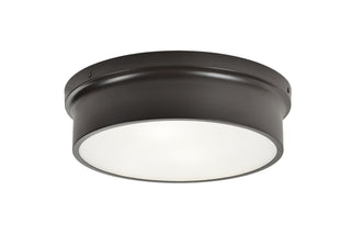 Ciotola Flush Mount Ceiling Light by Matteo Lighting