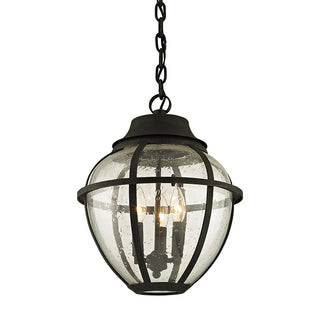 Bunker Hill Outdoor (Damp) Hanging Lanterns by Troy Lighting