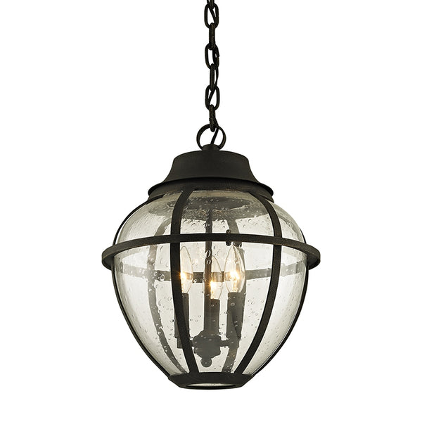 Bunker Hill Outdoor (Damp) Hanging Lanterns by Troy Lighting