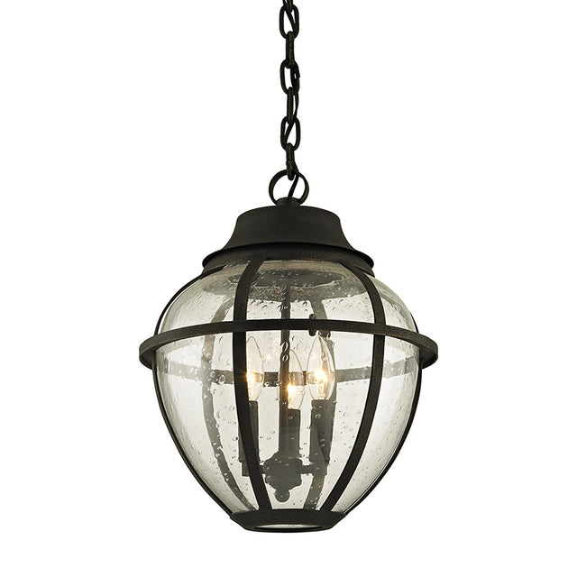 Bunker Hill Outdoor (Damp) Hanging Lanterns by Troy Lighting