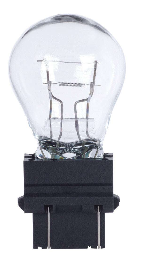 Satco Globe Light Bulb