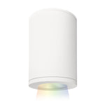 W.A.C. Lighting-DS-CD05-N-CC-WT|MAIN