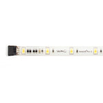 W.A.C. Lighting-LED-TX2445-1-40-WT|MAIN