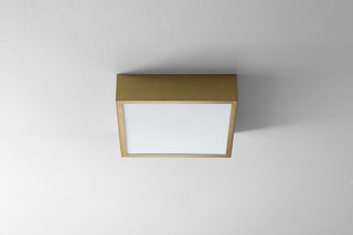 Pyxis Outdoor (Damp) Ceiling Light by Oxygen