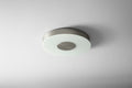 Dione Outdoor (Damp) Ceiling Light by Quorum