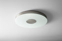 Dione Outdoor (Damp) Ceiling Mount Light by Oxygen