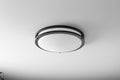 Oracle Outdoor (Damp) Ceiling Light by Quorum