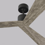 Visual Comfort Fan-3ADR60AGP|ALT|2