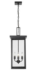 Barkeley Outdoor (Damp) Hanging Lantern by Millennium