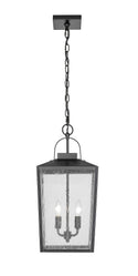 Devens Outdoor (Damp) Hanging Lantern by Millennium