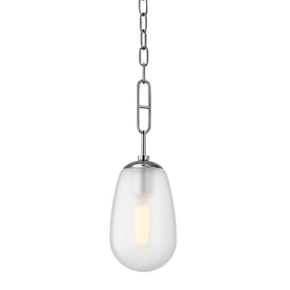 Buy polished-nickel Bruckner Outdoor (Damp) Pendant by Hudson Valley