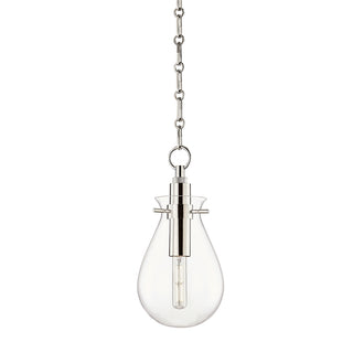 Buy polished-nickel Ivy Outdoor (Damp) Pendant by Hudson Valley
