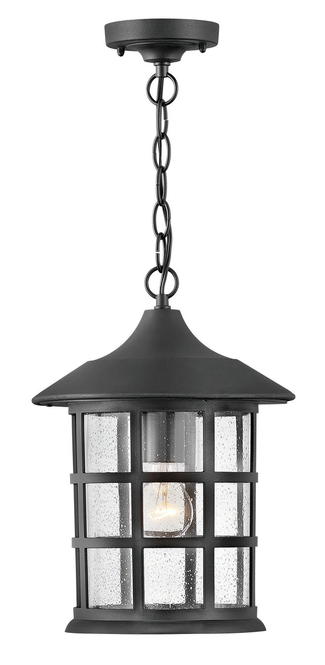 Freeport Elements Outdoor (Damp) Hanging Lantern by Hinkley