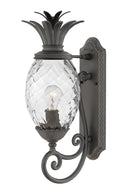 Plantation Outdoor (Wet) Wall Lantern by Hinkley