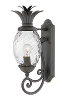 Plantation Outdoor (Wet) Wall Lantern by Hinkley