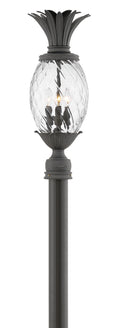 Plantation Outdoor (Wet) Lantern by Hinkley