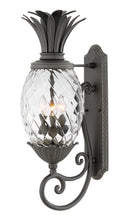 Plantation Outdoor (Wet) Wall Lantern by Hinkley