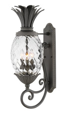 Plantation Outdoor (Wet) Wall Lantern by Hinkley