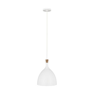 Darwin Outdoor (Damp) Pendant by Visual Comfort Studio