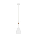 Darwin Outdoor (Damp) Pendant by Visual Comfort Studio