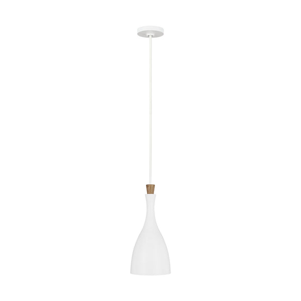 Darwin Outdoor (Damp) Pendant by Visual Comfort Studio