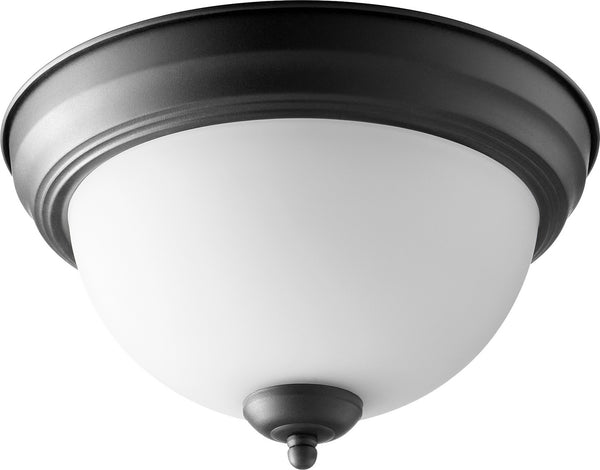 Ceiling Mounts Outdoor (Damp) Ceiling Light by Quorum