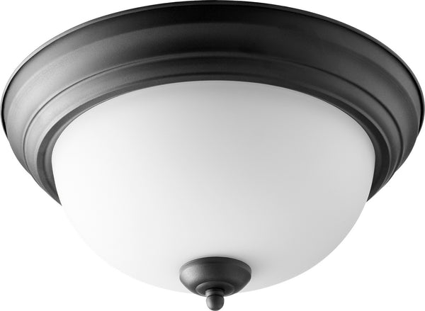Ceiling Mounts Outdoor (Damp) Ceiling Light by Quorum
