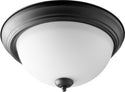 Ceiling Mounts Outdoor (Damp) Ceiling Mount Light by Quorum