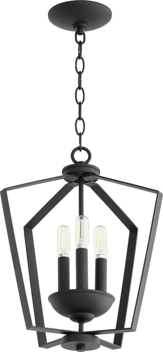 Buy textured-black LT Entry Series Pendant by Quorum