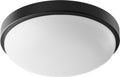 Round Ceiling Mounts Outdoor (Damp) Ceiling Light by Quorum