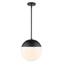 Dixon Outdoor (Damp) Pendant by Golden