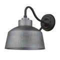Barnes Wall Lantern by Acclaim Lighting