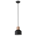 Ingo Pendant by Acclaim Lighting