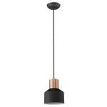 Acclaim Lighting-TP30065BK|MAIN